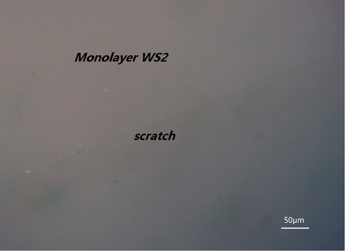 【巨纳】单层二硫化钨（10x10mm）连续薄膜-衬底可选