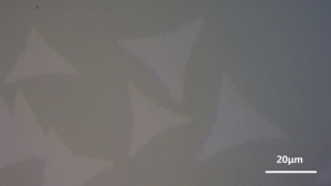 【巨纳】基于柔性PET基底的三角形单层二硫化钼（10*10mm）