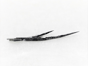 ZrTe2 二碲化锆晶体